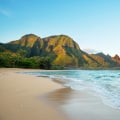 Travel Insurance Requirements for Japan to Hawaii Trips: What You Need to Know
